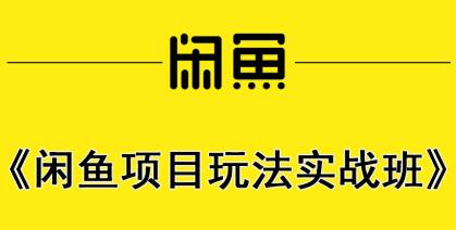 闲鱼项目玩法实战班，从0到1教您实战玩转闲鱼项目视频教程