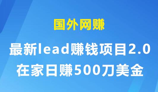 国外网赚：最新lead赚钱项目2.0，在家日赚500刀美金