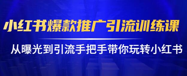 小红书怎么推广，小红书爆款推广引流训练课12.0，手把手带你玩转小红书