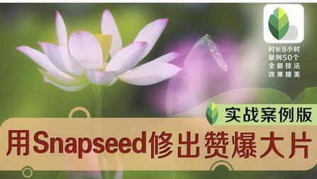 Snapseed教程视频《80节精品课精通Snapseed手机修片》