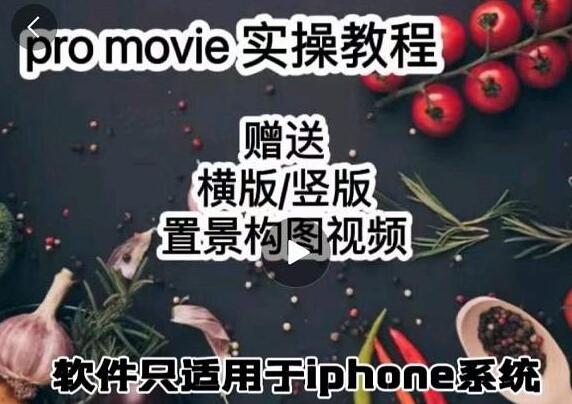 漆十二美食摄影《promovie教程视频》实操教学